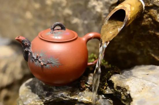 石瓢壶泡什么茶最好（适合石瓢壶泡的五种茶）